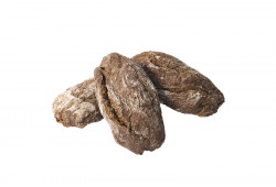v01344.jpg_product_product_product_product v01344.jpg_product_product_product_product