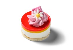 PANNA COTTA MANGO EN ROODFRUIT DE LUXE (20 STUKS)